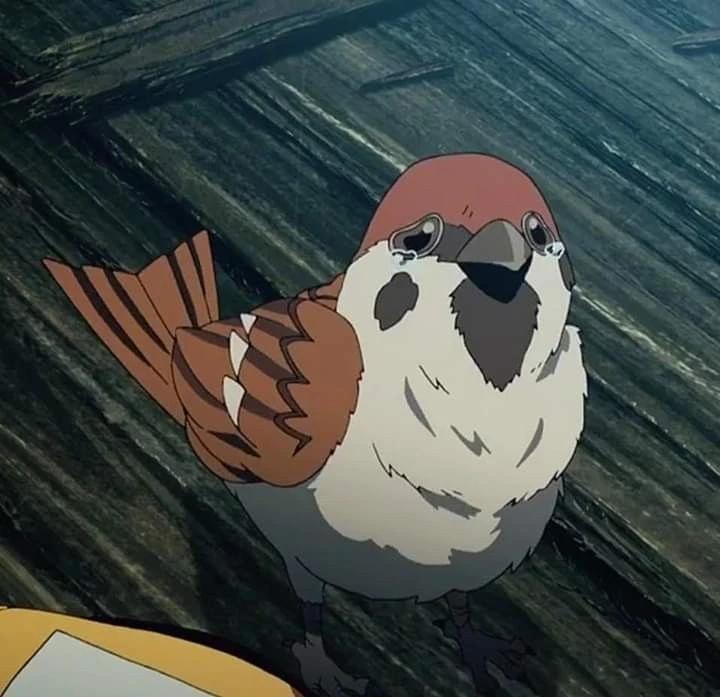 Chuntaro